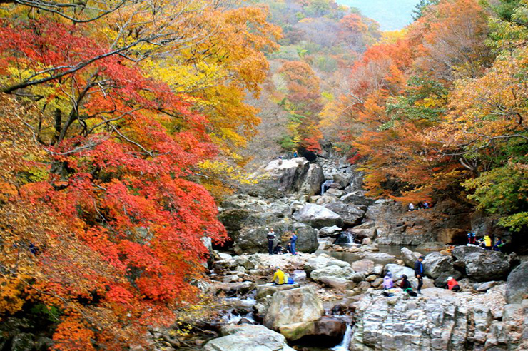 top-7-korea-national-park